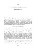 The Inbuilt Potentiality of Creation