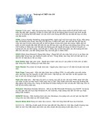 Thuật ngữ về TMĐT vần V,W