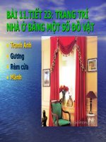 Tài liệu trang tri nha o bang 1 so do vat