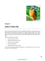 Foundation Flash CS5 For Designers- P7