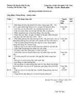 Bài soạn kế hoạch đội T1-2011