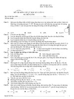 Đề mẫu thi HKI Lý 10 số 5