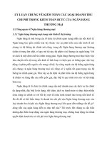 LÝ LUẬN CHUNG VỀ KIỂM TOÁN CÁC LOẠI DOANH THU CHI PHÍ TRONG KIỂM TOÁN BCTC CỦA NGÂN HÀNG THƯƠNG MẠI