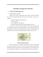 Tìm hiểu mạng kohonen và cài đặt ứng dụng 