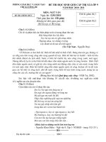 Tài liệu đề, đáp án HSG Văn 9 Uông Bí