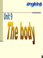 Bài soạn UNIT 9 - LESSON A-C (G6)