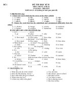 Bài soạn De thi HKII -anh 6