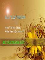 Bài giảng văn hóa chămpa- thành lũy