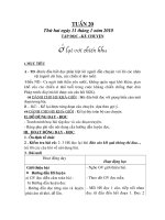 Bài giảng GA 3 tuần 20 CKT-KN-BVMT