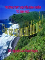 Bài soạn Tiết 33 : TIẾN HÓA LỚN  (12 - CB)