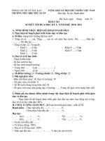 Tài liệu Báo cáo sơ kết HK1 ( 2010 - 2011)