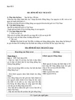 Bài giảng Giáo án Địa 6-Kì II-Hay