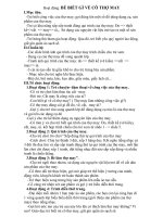 bé biết gì về cô thợ may