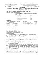 Bài soạn Báo cáo công tác GDCT đạo đức Học kì 1 2010 - 2011 ( Sơn )