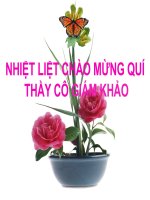 Bài giảng Luyện tập mặt cầu