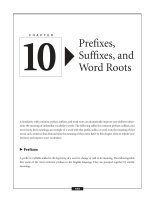 Prefixes, Suffixes, and Word Roots