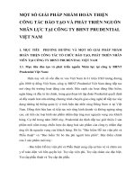 MỘT SỐ GIẢI PHÁP NHẰM HOÀN THIỆN CÔNG TÁC ĐÀO TẠO VÀ PHÁT TRIỂN NGUỒN NHÂN LỰC TẠI CÔNG TY BHNT PRUDENTIAL VIỆT NAM