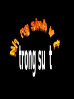 Bài soạn Những sinh vật trong suốt