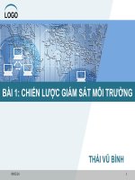 BÀI BÁO CÁO: CHIẾN LƯỢC GIÁM SÁT MÔI TRƯỜNG