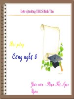 Gián án bai 38 đen soi đot