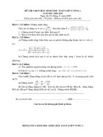 Bài soạn đề thi hsg 2010- 2011