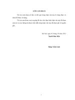 Đánh giá  thực  trạng quản lý rác thải rắn sinh hoạt tại các đô thị trên địa bàn huyện Gia Lâm – TP Hà Nội