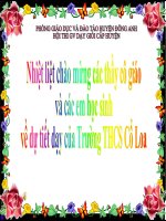 Bài giảng Tiết 30 - Thiên nhiên Châu Phi (tiếp)