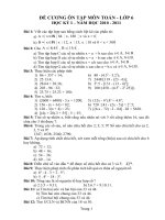 Đề cương Ôn thi Học kỳ I - Toán 6, Năm học 2010 - 2011