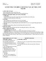 Gián án nv7 tuần 11 - 2010