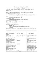 Tài liệu MT 6 tiết 16