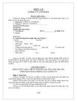 ĐIỀU LỆ CÔNG TY CỔ PHẦN (CHƯA NIÊM YẾT)