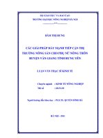 Các giải pháp đẩy mạnh tiếp cận thị trường nông sản cho phụ nữ nông thôn huyện văn giang tỉnh hưng yên 