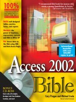 Access 2002 Bible P1