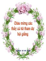 Bài soạn Chiếc lược ngà.