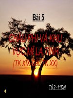 Gián án Bài 5 : Châu Phi và Mỹ La Tinh (TK XIX - XX )