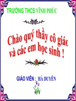 Bài giảng lịch sử 8