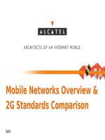 Mobile Networks Overview & 2G Standards Comparison