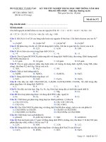 Đề thi chính thức kỳ thi tốt nghiệp THPT 2010 môn Hóa - Giáo dục thường xuyên (Mã đề thi 372)