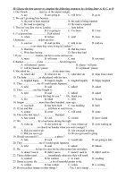 Bài soạn Bai tap on trac nghiem lop 8