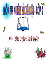 Bài soạn Bài 23 ÔN TẬP XÃ HỘI