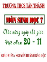 Tài liệu Bài đặc điểm chung và vai trò của thân mềm