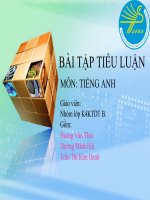 Bài giảng Bài tieu luận Tiếng Anh