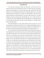 Một số biện pháp nâng cao hiệu quả sản xuất kinh doanh tại công ty CPXD bạch đằng 