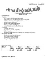 Gián án Tết và mùa xuân 2010-2011