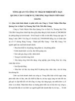 TỔNG QUAN VỀ CÔNG TY TRÁCH NHIỆM HỮU HẠN QUẢNG CÁO VÀ DỊCH VỤ THƯƠNG MẠI TRẦN TIẾN BẮC GIANG