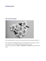 Practice Templates Photoshop part 4