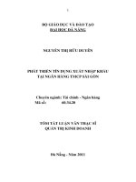 Phát triển tín dụng xuất nhập khẩu tại ngân hàng TMCP sài gòn 