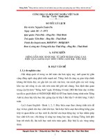 Bài giảng Sáng kiến môn Tiếng Anh năm học 2010-2011