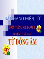 Bài soạn LT&C_TỪ ĐỒNG ÂM