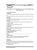 Bài giảng Giáo án 6 tiết 16